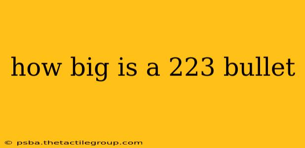 how big is a 223 bullet