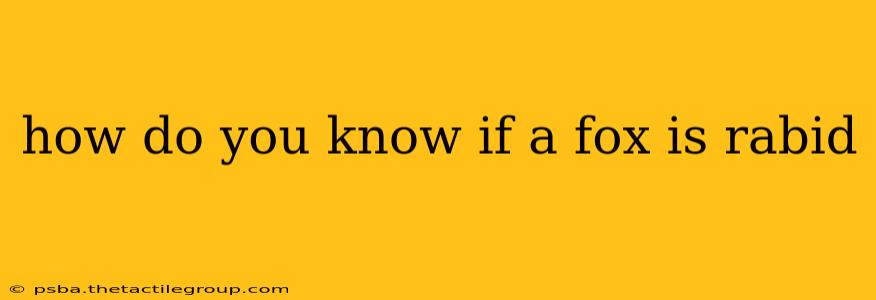 how do you know if a fox is rabid