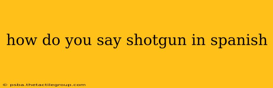 how do you say shotgun in spanish