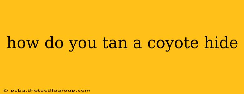 how do you tan a coyote hide