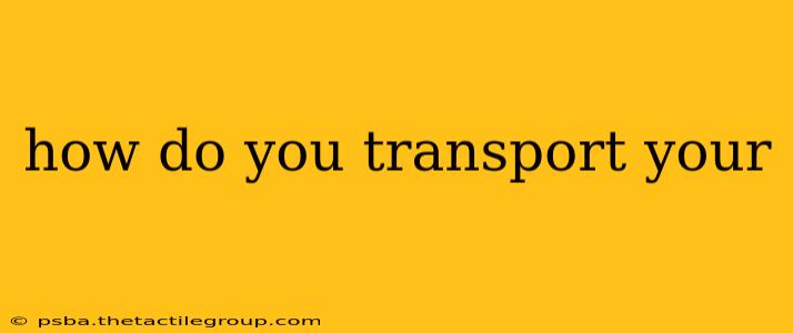 how do you transport your