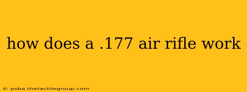 how does a .177 air rifle work