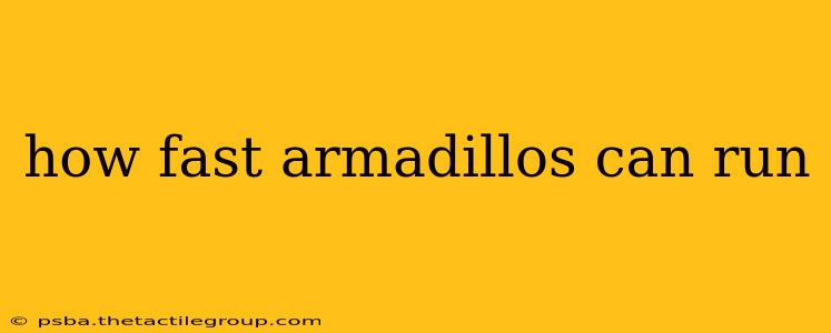 how fast armadillos can run