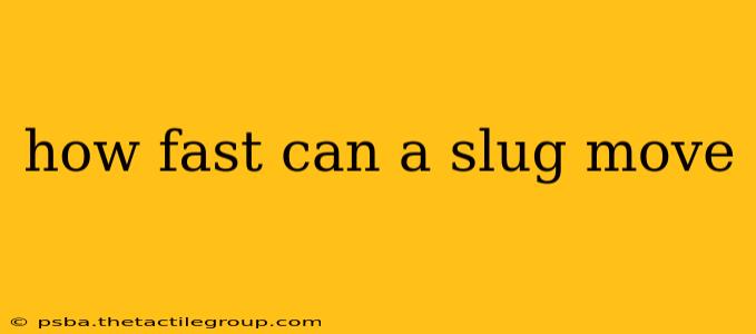 how fast can a slug move