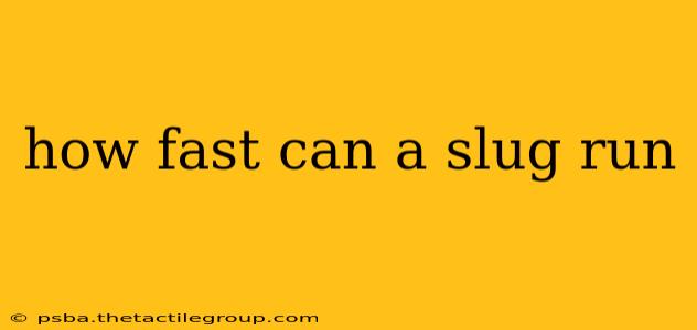 how fast can a slug run