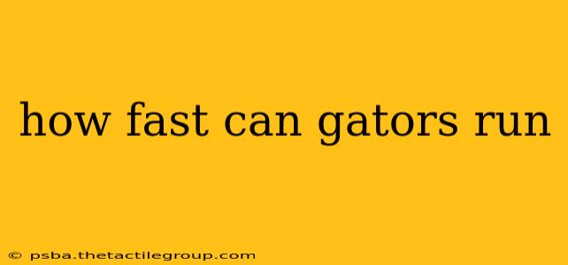 how fast can gators run