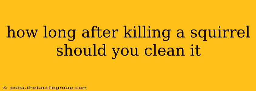 how long after killing a squirrel should you clean it