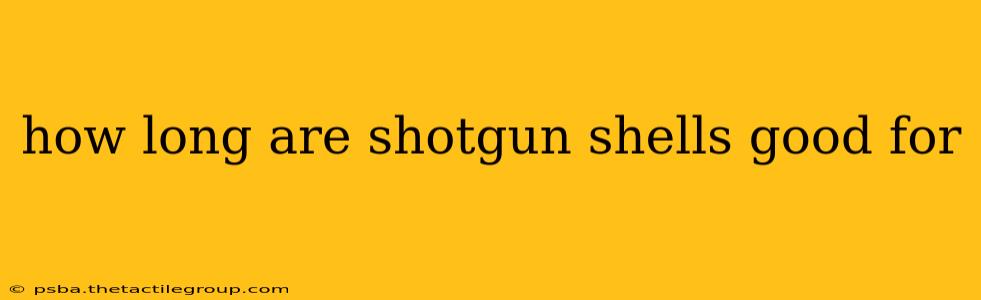 how long are shotgun shells good for