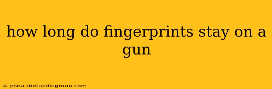 how long do fingerprints stay on a gun