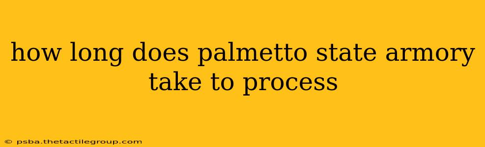 how long does palmetto state armory take to process