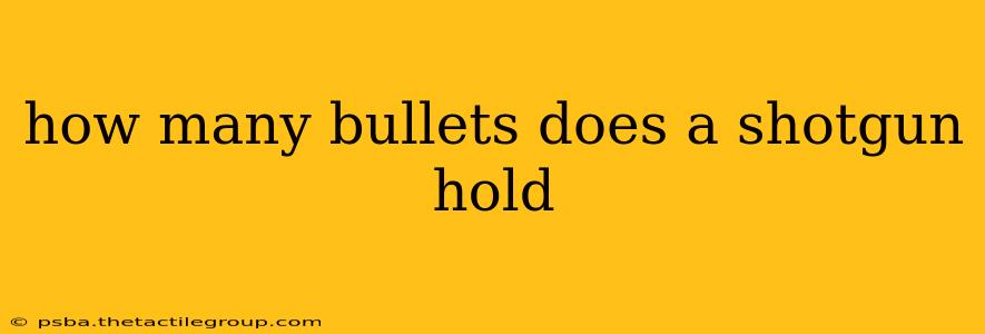 how many bullets does a shotgun hold