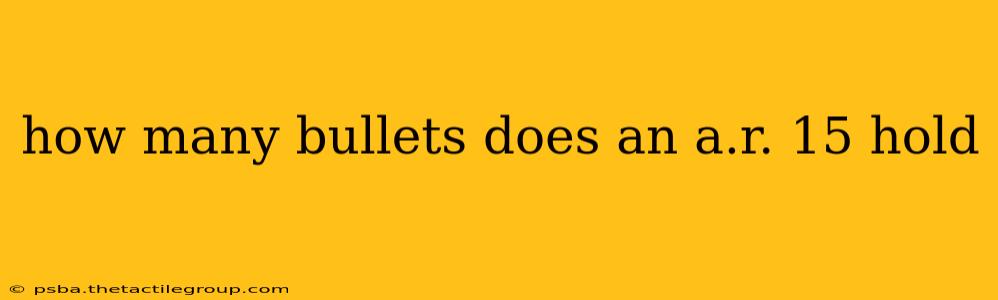 how many bullets does an a.r. 15 hold