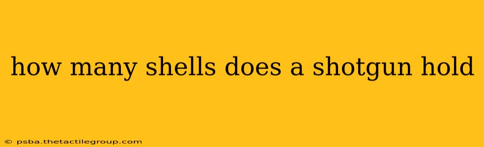 how many shells does a shotgun hold