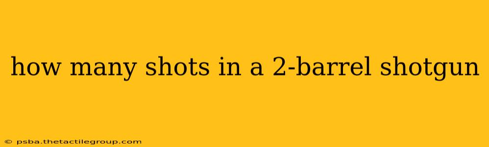 how many shots in a 2-barrel shotgun