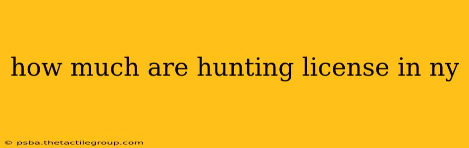 how much are hunting license in ny