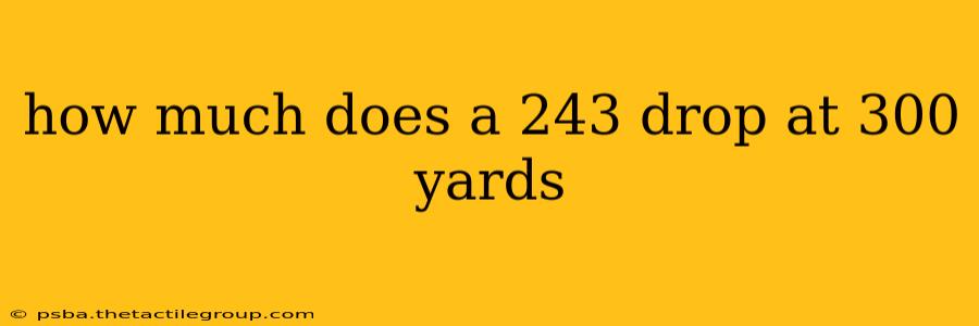 how much does a 243 drop at 300 yards