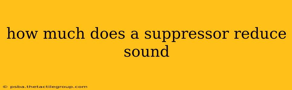 how much does a suppressor reduce sound