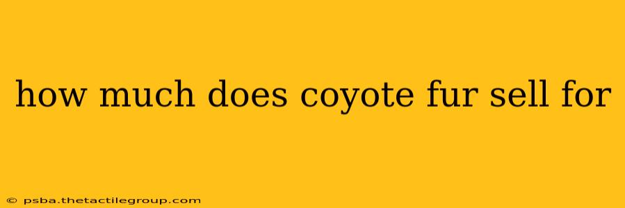 how much does coyote fur sell for