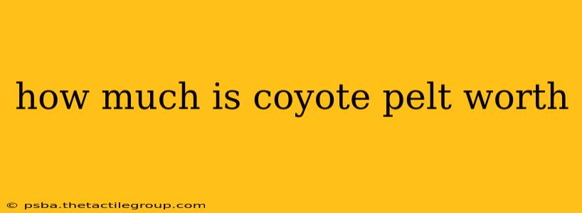 how much is coyote pelt worth