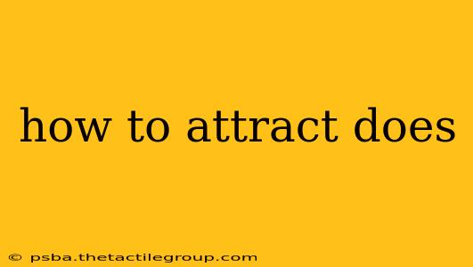 how to attract does