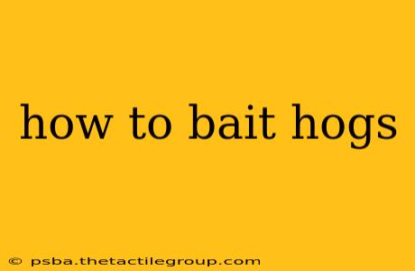 how to bait hogs