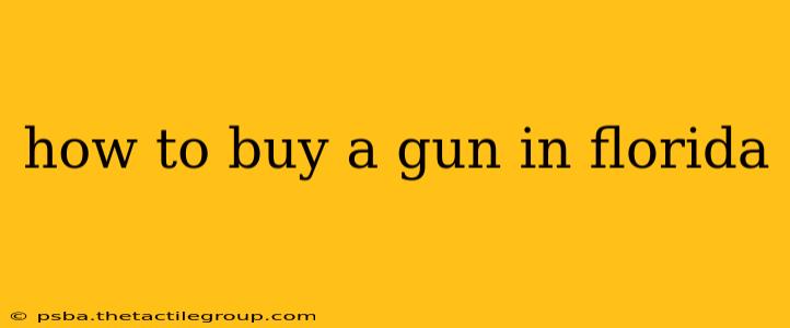 how to buy a gun in florida