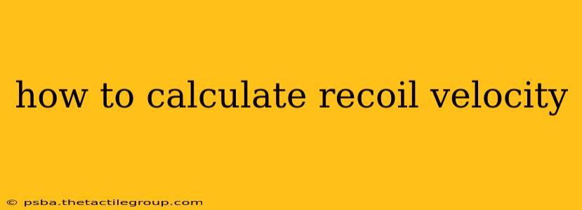 how to calculate recoil velocity