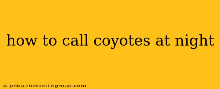 how to call coyotes at night