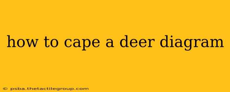 how to cape a deer diagram