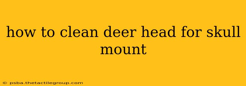 how to clean deer head for skull mount