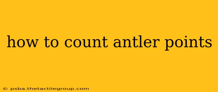 how to count antler points