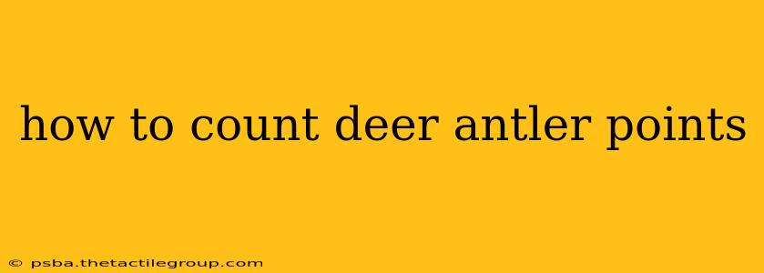 how to count deer antler points