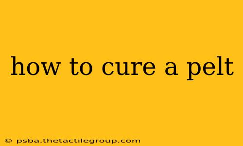 how to cure a pelt