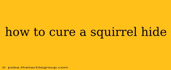 how to cure a squirrel hide