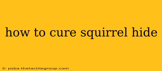 how to cure squirrel hide