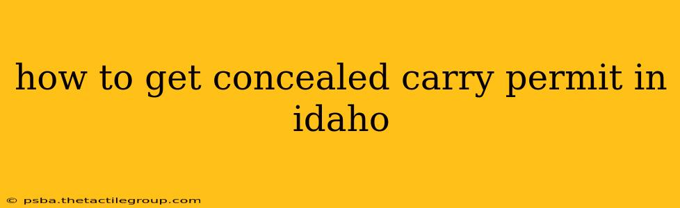 how to get concealed carry permit in idaho