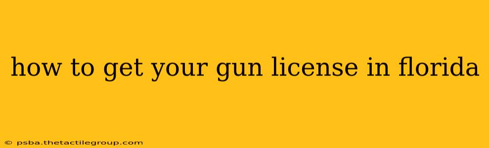 how to get your gun license in florida