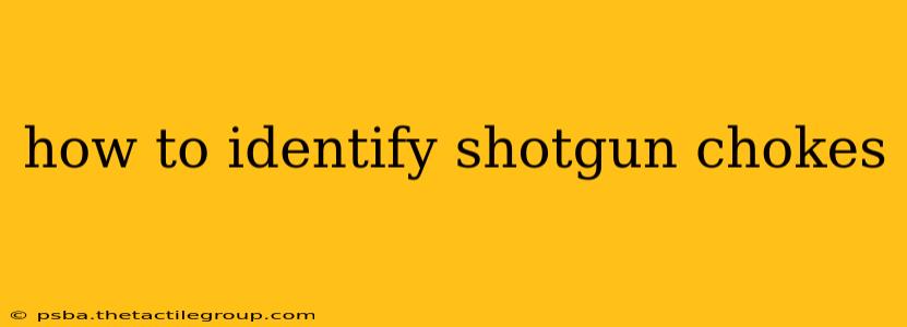 how to identify shotgun chokes