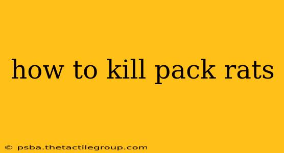 how to kill pack rats