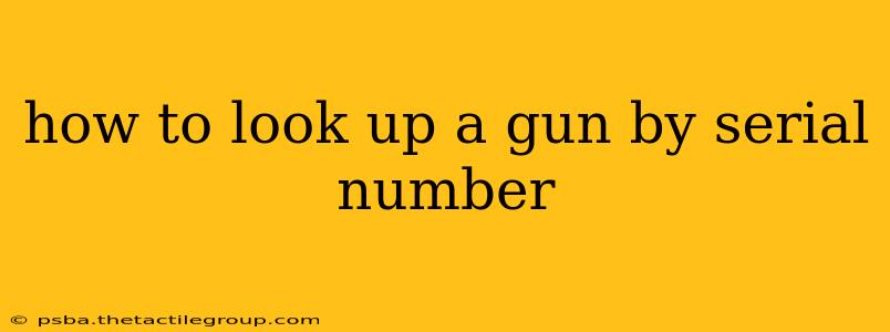 how to look up a gun by serial number