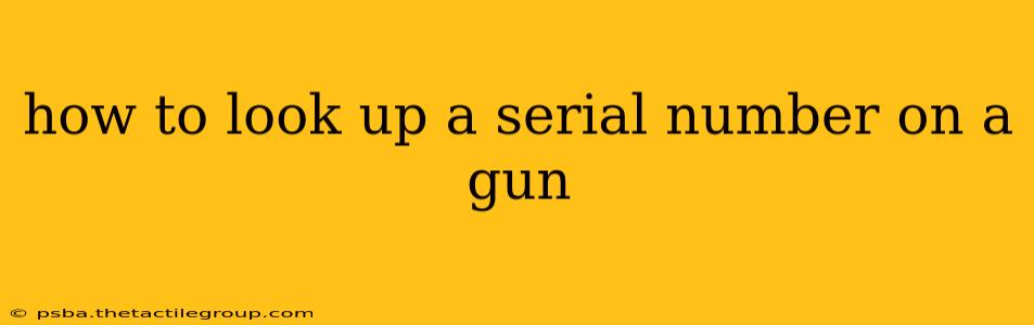 how to look up a serial number on a gun