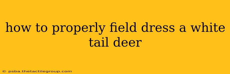 how to properly field dress a white tail deer