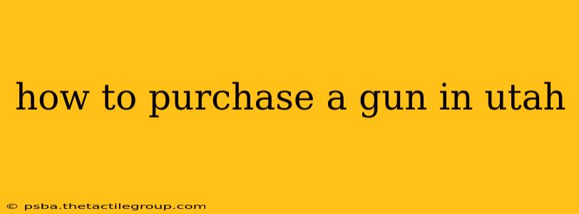 how to purchase a gun in utah