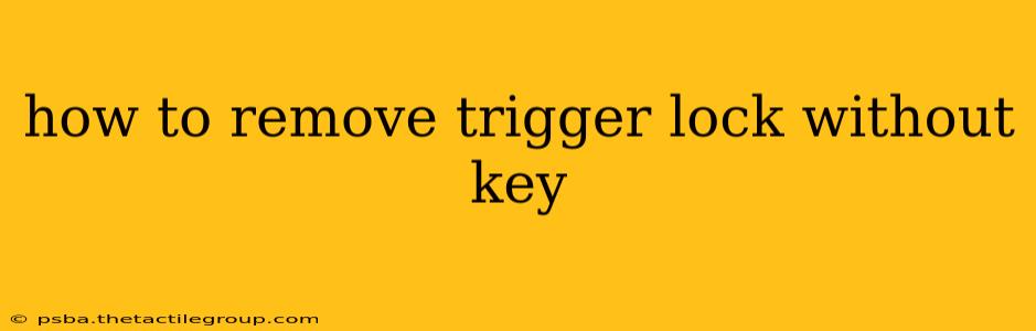 how to remove trigger lock without key