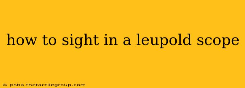 how to sight in a leupold scope