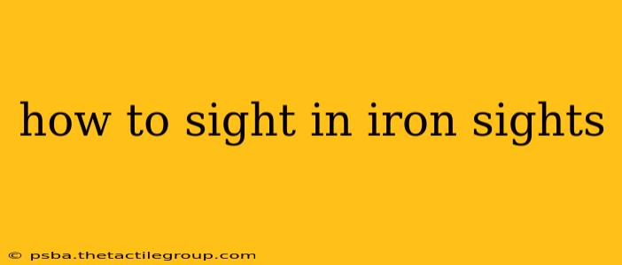 how to sight in iron sights