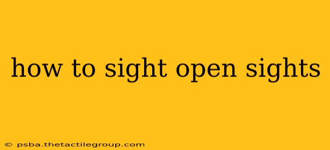 how to sight open sights