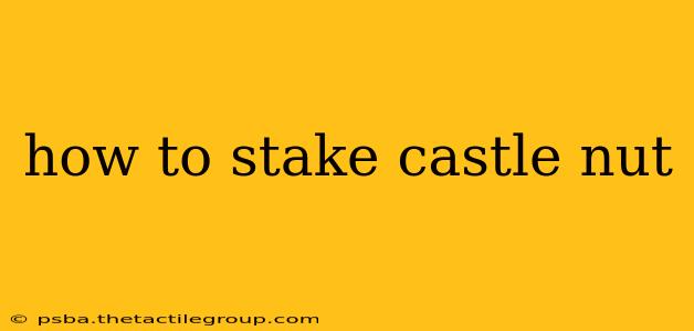 how to stake castle nut