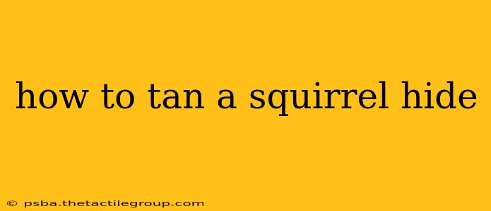 how to tan a squirrel hide