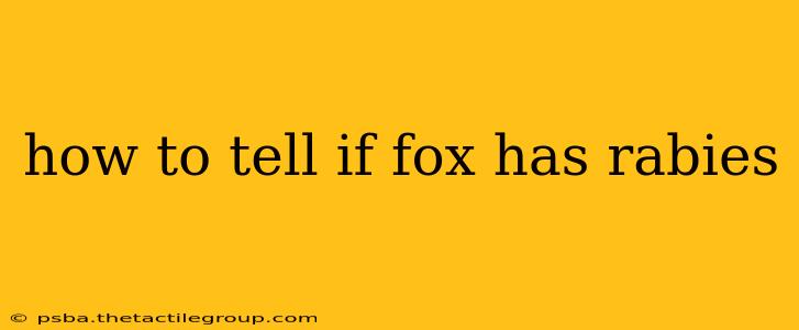 how to tell if fox has rabies